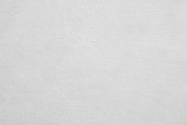 Best Basement Mold Removal  in Gleed, WA