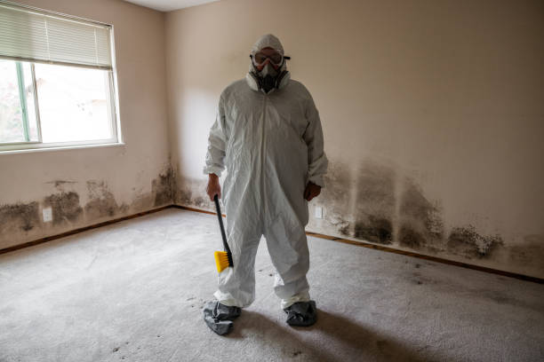 Best Basement Mold Removal  in Gleed, WA